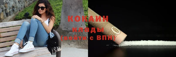 дживик Аркадак