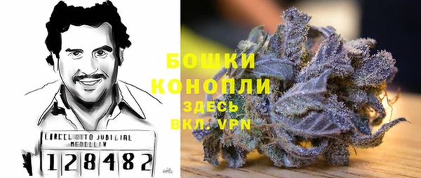 дживик Аркадак